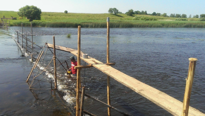 Nēģu zveja Salacā