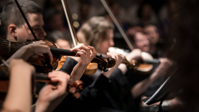 Orķestra mūziķi un instrumenti