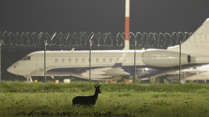 Kads no filmas "Putnubiedēkļi" ar buku pie lidostas žoga