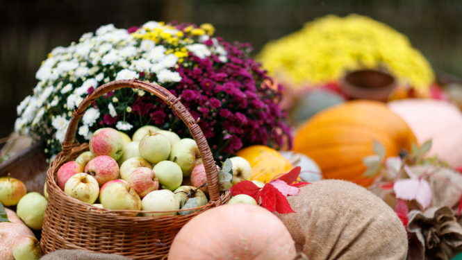 Rudens veltes - ziedi, āboli, ķirbiji uz galda