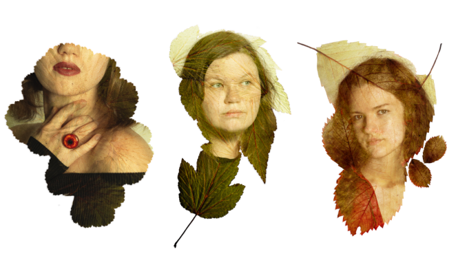 Trīs sieviešu fotoportreti, kas sapludināti ar dāžādu augu lapām.