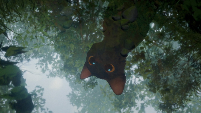 Kadrs no animācijas filmas "Straume" - Kaķis skatās uz savu atspulgu ūdenī