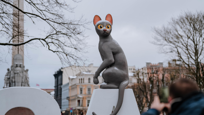 Straumes kaķis uz burtiem RĪGA pie Brīvības pieminekļa, foto: Rīgas dome