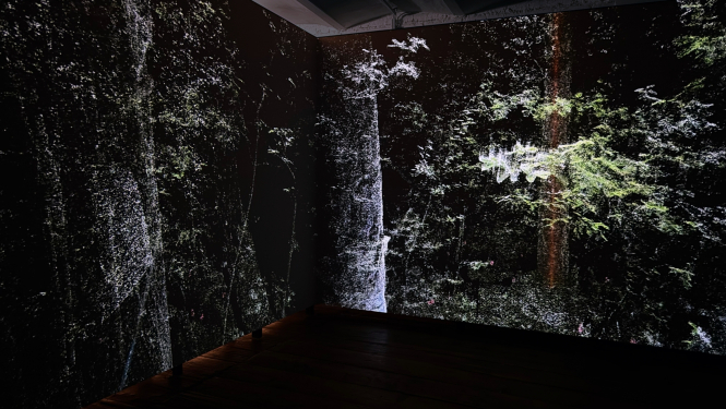Rasa Šmite, Raitis Šmits. Atmosfēriskais mežs, 2020. Vīnes klimata biennāles izstāde “Mežs: Ekosistēmas perspektīva”. 06.04.-11.08.2024.RIXC publicitātes foto.
