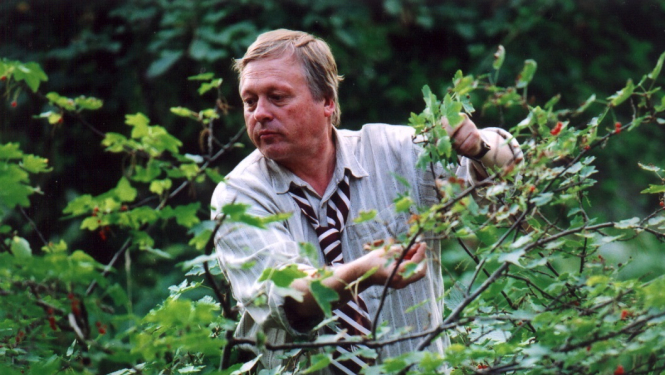 Režisors Arvīds Krievs