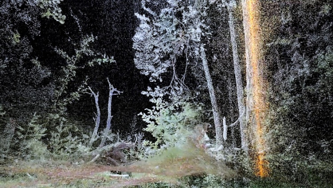 “Atmosfēriskais mežs” – Rasas Šmites un Raita Šmita jaunais VR mākslas darbs izstādes “Kritiskās zonas” virtuālajā atklāšanā ZKM Vācijā