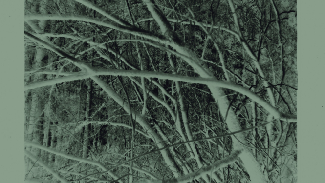 Pasākuma vizuālais materiāls