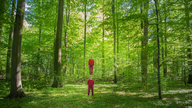 Cirka mākslinieki mežā