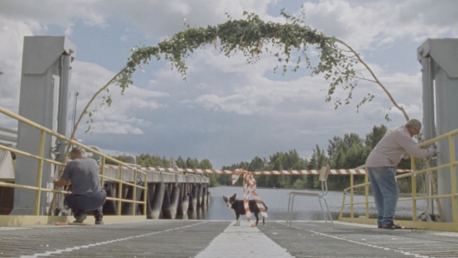 Kadrs no Viestura Kairiša īsfilmas "Līdziedzīvotāji / Cohabitants"