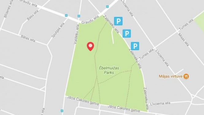 Uzaicinājums uz Latvijas valsts simtgades dižkoku meklēšanas akcijas uzsākšanu