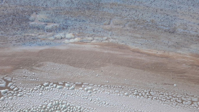 Izstāde "Tuvais tālums" Ojāra Vācieša muzejā