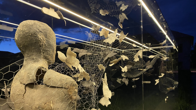 Publicitātes attēls