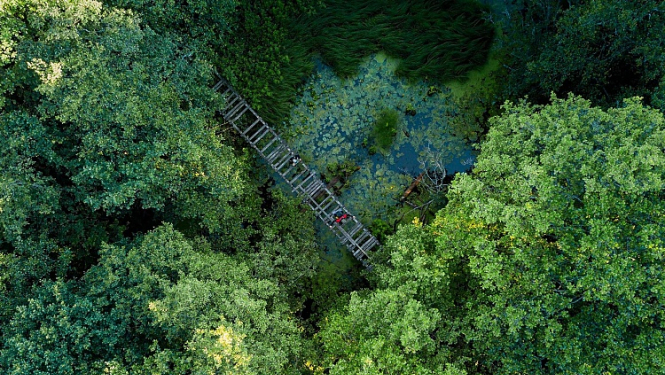 Atjaunos tiltu pāri Irbes upei