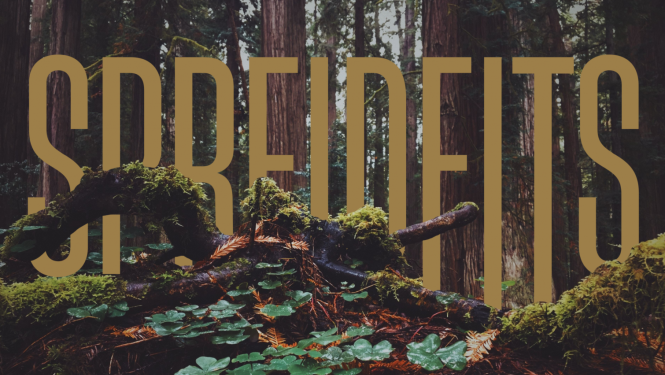 Izrādes vizuālais materiāls