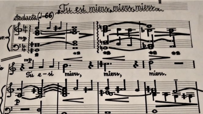 Koncerta vizuālais materiāls