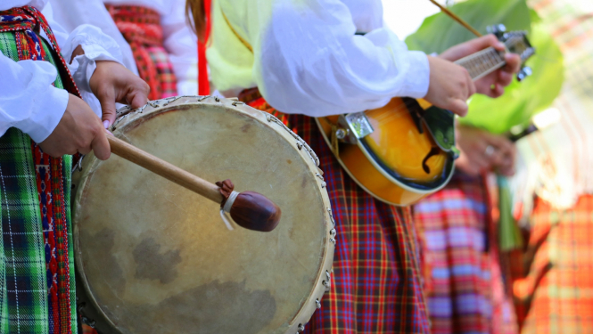 Folkloras kopas mūziķi