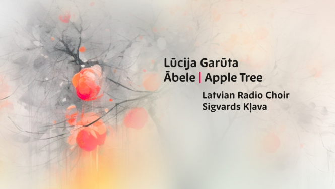 Albuma vizuālais noformējums