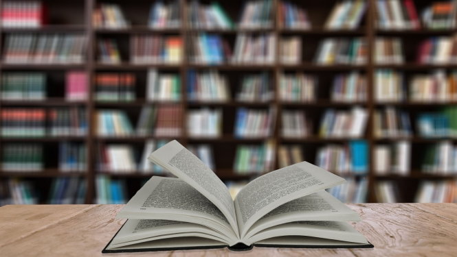 Grāmata un grāmatplaukts