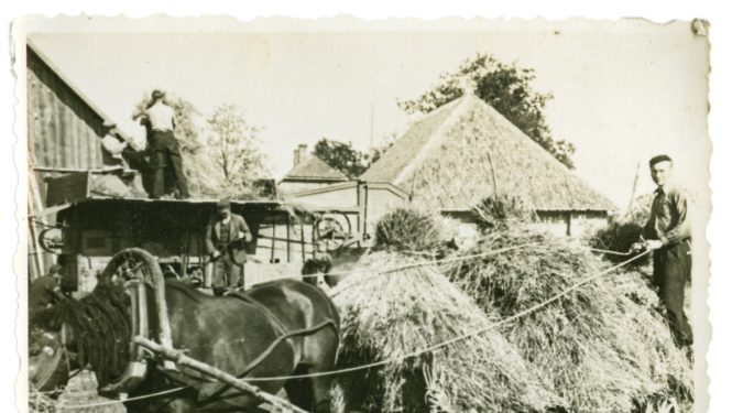 Zirgs un siena vezums