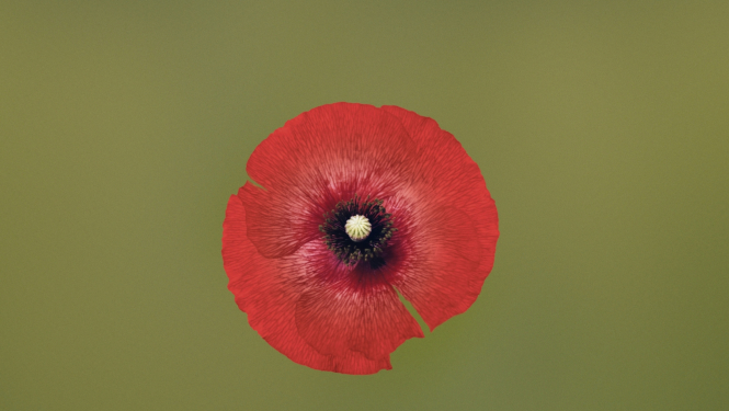 Leoša Janāčeka operas Jenūfa iestudējuma vizuālais materiāls