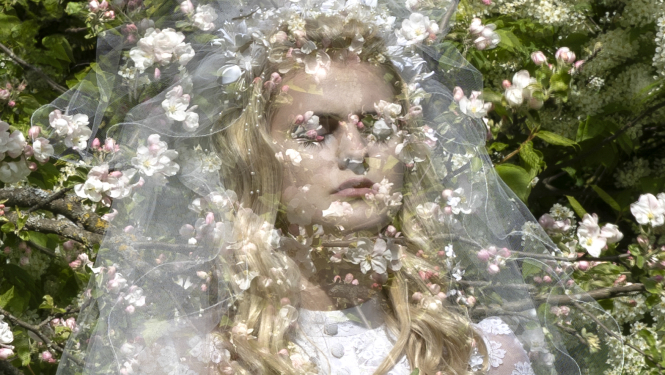 Sieviete baltā kāzu kleitā ieskauta ābeļziedos