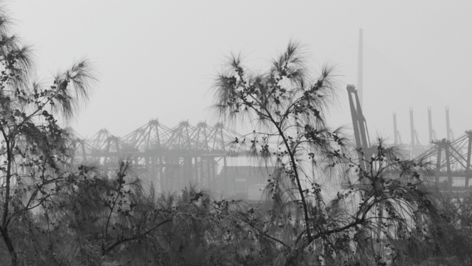 Kadrs no režisores Lailas Pakalniņas filmas "Karote".