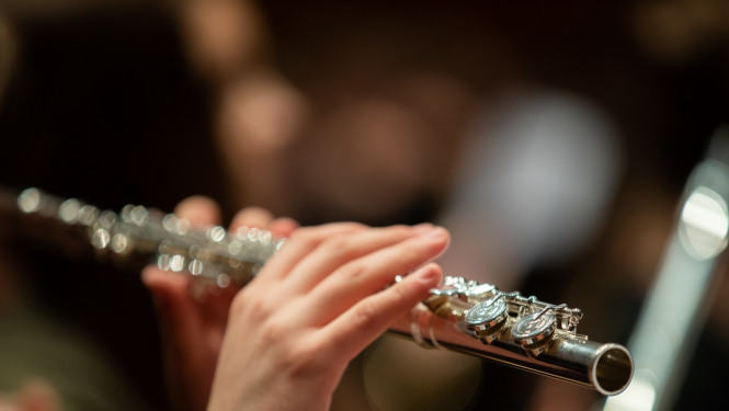 Mūzikas instruments