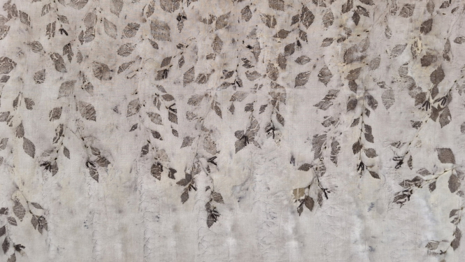 Lilita Bauģe. Dabas druka. 2024.