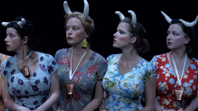 Izrāde “Melnais piens”