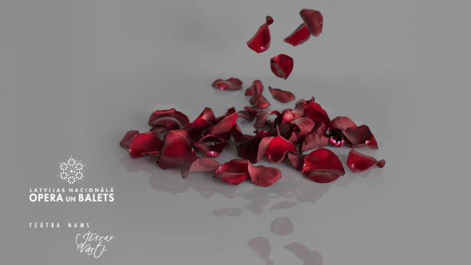 Latvijas Nacionālais operas un baleta izrādes “Ņižinskis” vizuālais materiāls