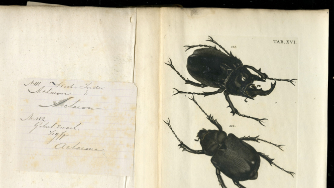 Ilustratīvs attēls pasākumam