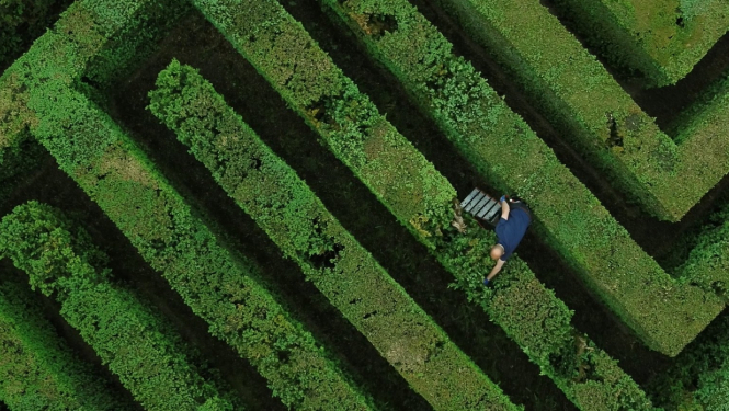 Foruma programmā iekļautās filmas "Pēc darba" publicitātes attēls