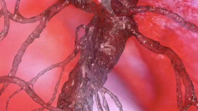 Fragments no Sabīnes Šnē (Latvija) darba