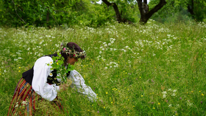 Pļava, foto: Agris Tabaks
