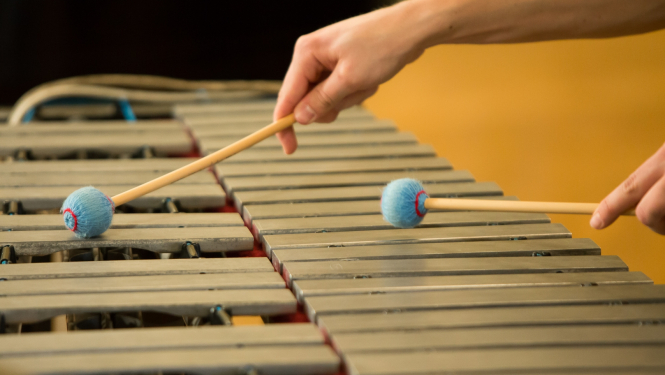 Sitaminstrumentu spēles nodarbība