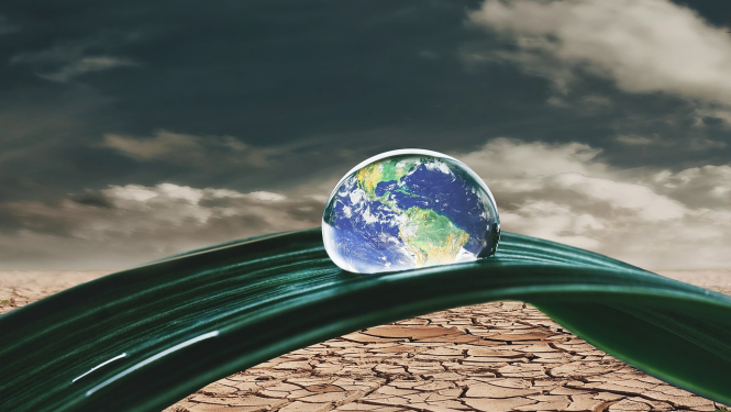 Lietus ūdens pile uz lapas