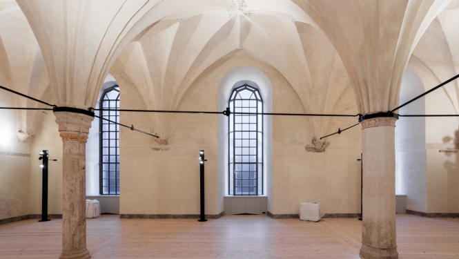 Rīgas pils remtera daļa, foto: VNĪ.