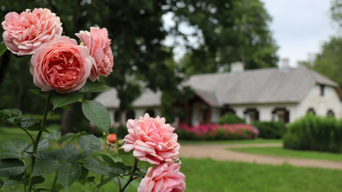 Raiņa muzejs “Jasmuiža”