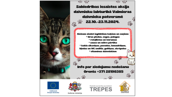 Plakāts ar kaķa foto