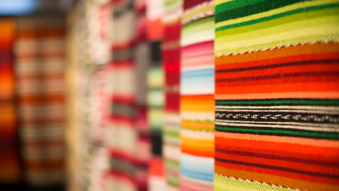 Austas vilnas segas, foto: Reinis Oliņš