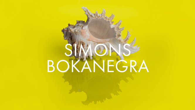 Operas “Simons Bokanegra” vizuālais materiāls.