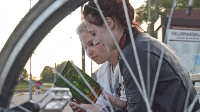 Tukuma novada pašvaldības vizuālais materiāls