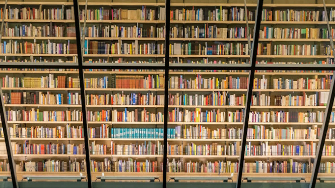 LNB Tautas grāmatu plaukts, foto: Kristians Luhaers