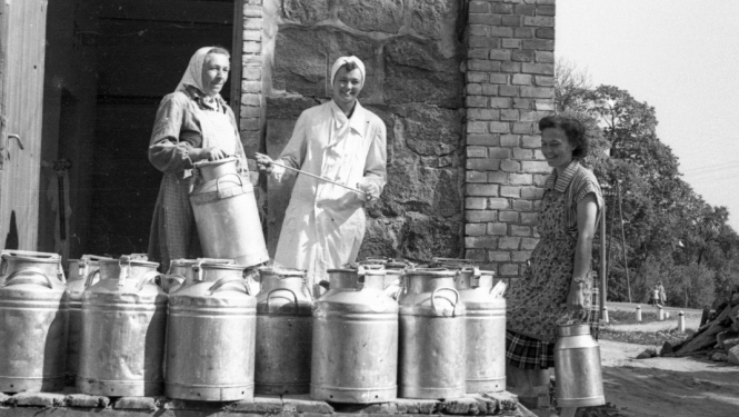 Turaidas pienotava, foto no Turaidas muzejrezervāta krājuma