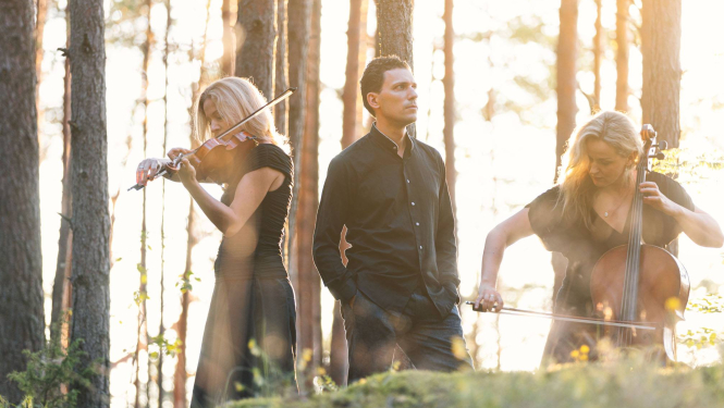 Kameransamblis “Trio Palladio”