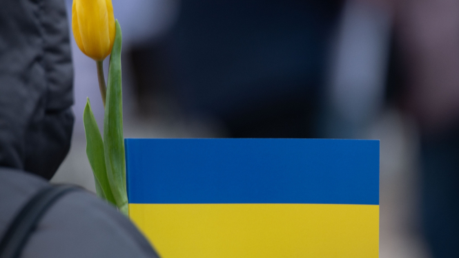 Ukrainas karoga krāsas