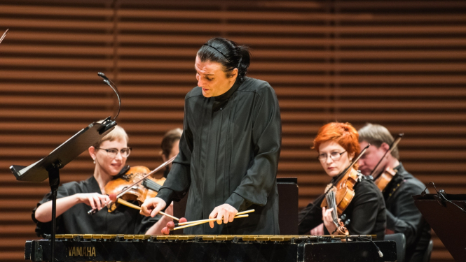 Vibrofonists Andrejs Puškarevs