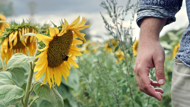 Kadrs no filmas "Dzīvnieks" / "Animal" (režisors Kirils Dions, Francija)