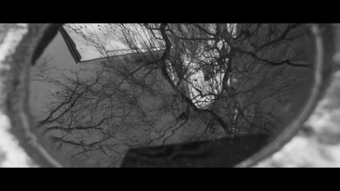 Stopkadrs no filmas “Zvani”