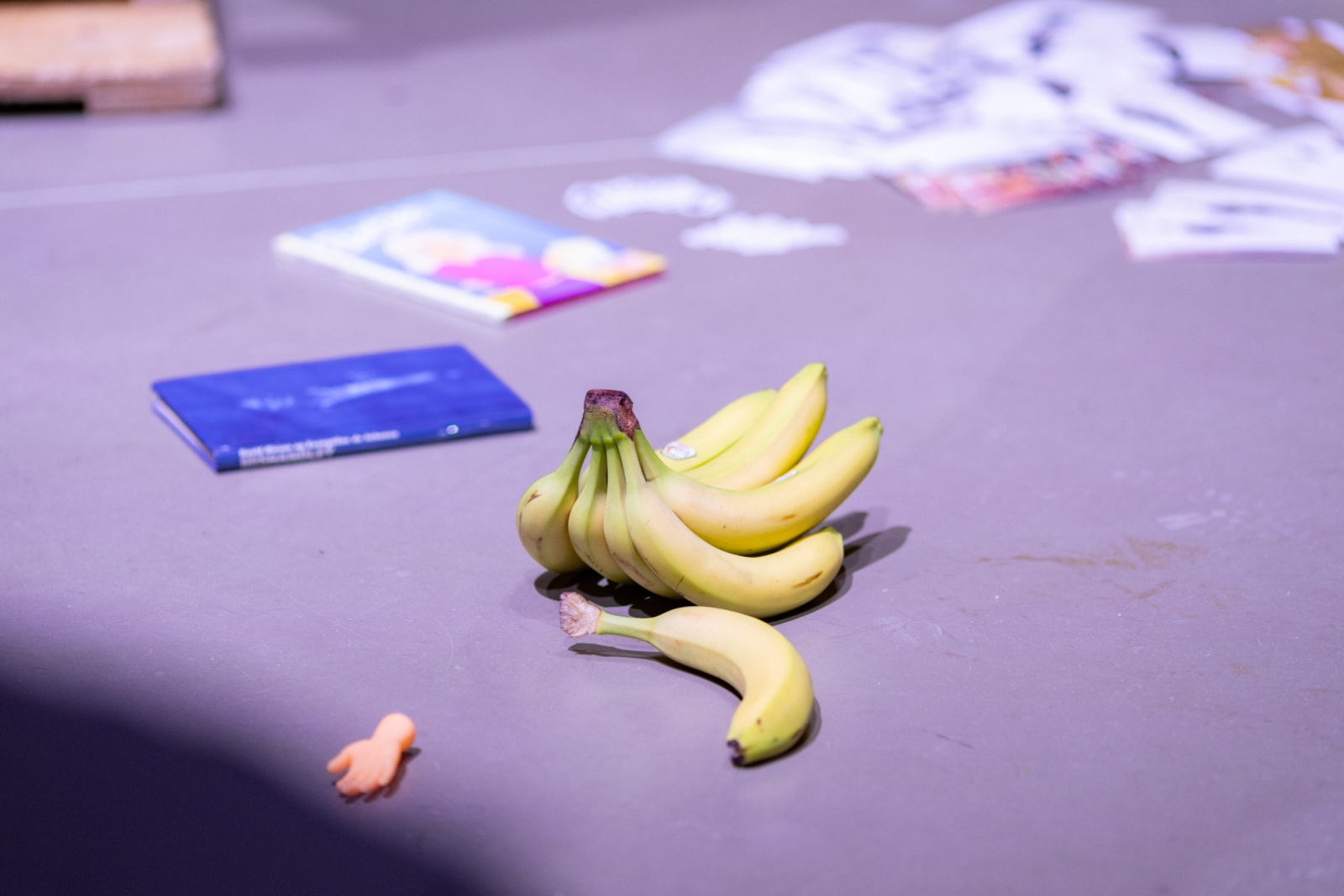 Rīgas cirka 2026. gada sezonas atklāšanas preses konferences norise Rīgas cirka arēnā